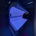 Red and Blue Light Bed Device
