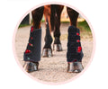 LumavitaTech for Horses Legs