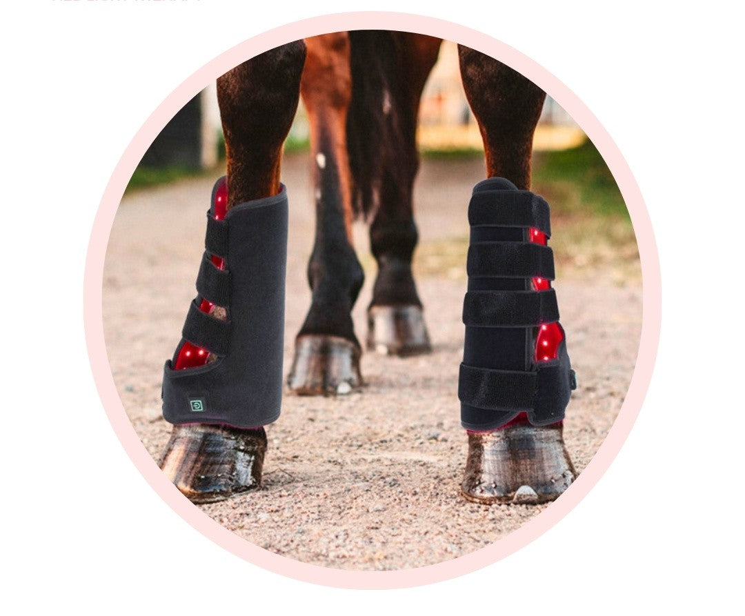 LumavitaTech for Horses Legs