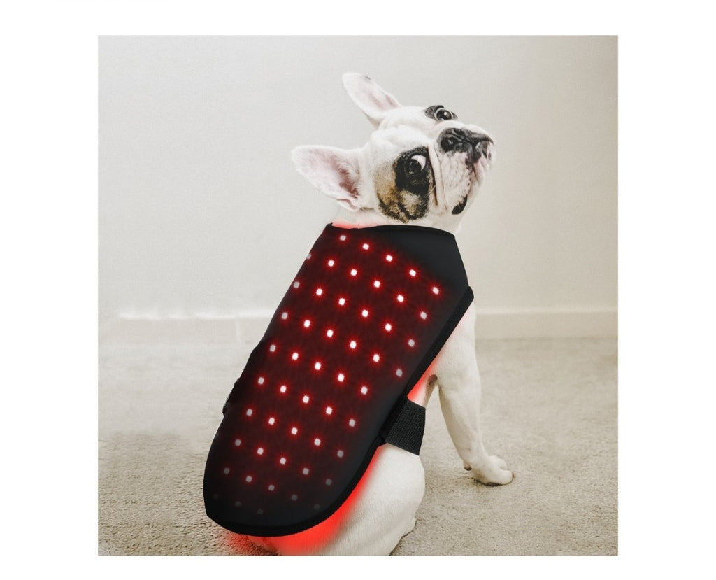 LumavitaTech for Dogs Back