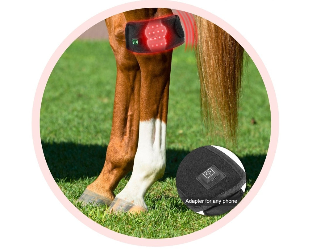 LumavitaTech for Horses Hoof