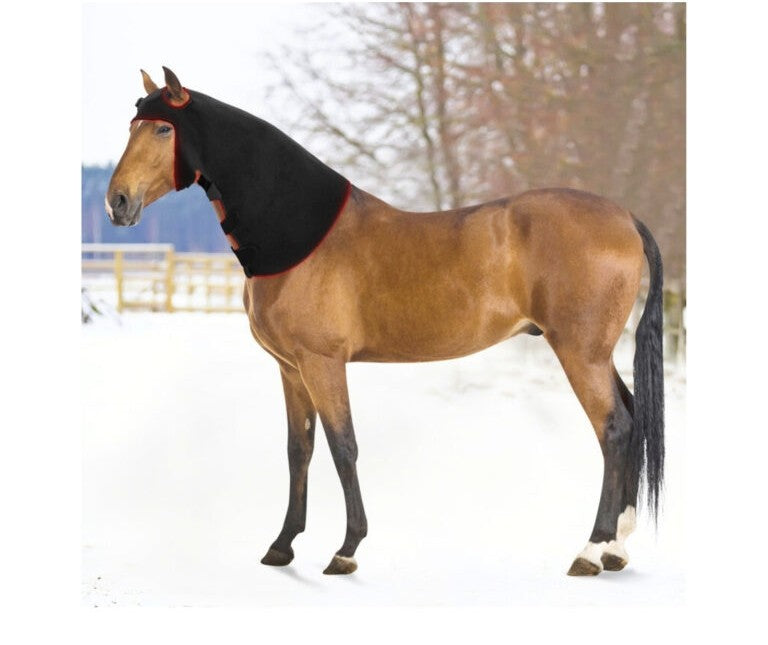 LumavitaTech for Horses Head